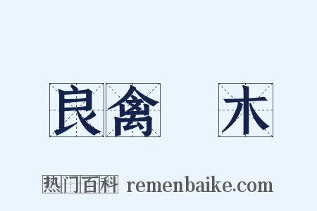 良禽擇木是什么意思的图片